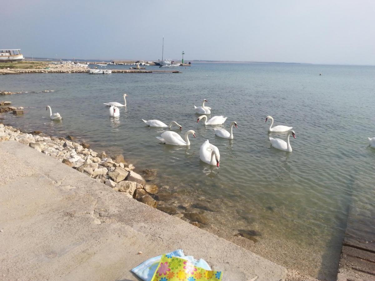 New Kosljun Apartment Short Walk To Beach Buitenkant foto